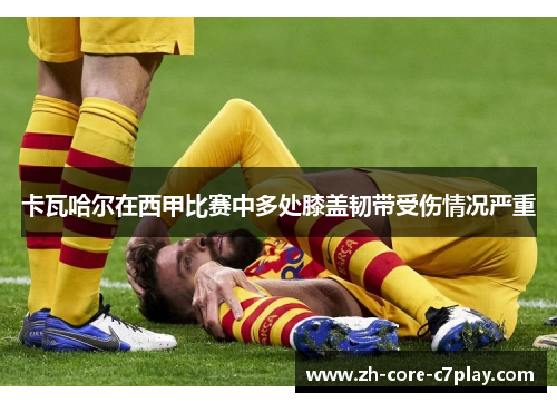 卡瓦哈尔在西甲比赛中多处膝盖韧带受伤情况严重 卡瓦哈尔在西甲比赛中多处膝盖韧带受伤情况严重